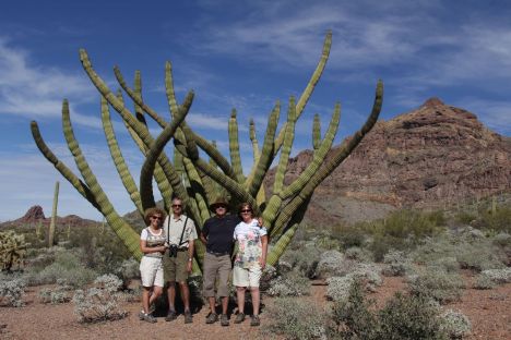 On dit que ce cactus se développe de façon anormale. Il est même devenu un phénomène pour les scientifiques et une belle attraction pour les visiteurs.